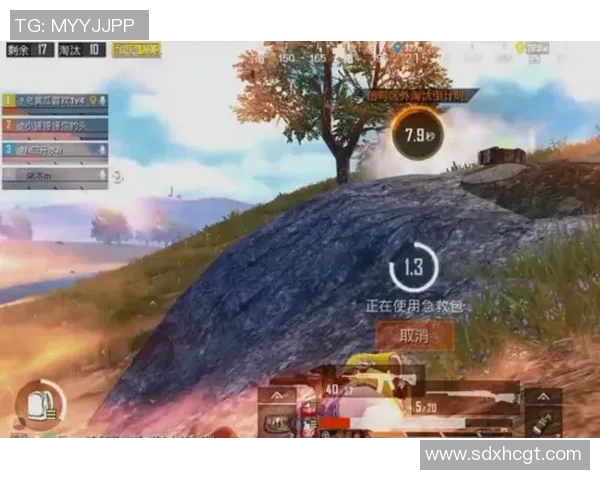 和平精英中FPX团队协作引发热议玩家对战术配合的不同看法 和平精英中FPX团队协作引发热议玩家对战术配合的不同看法